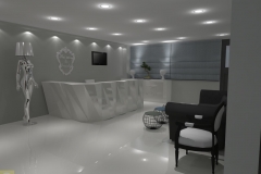 RECEPTION & WAITING ROOM PLASTIC SURGERY CLINIC